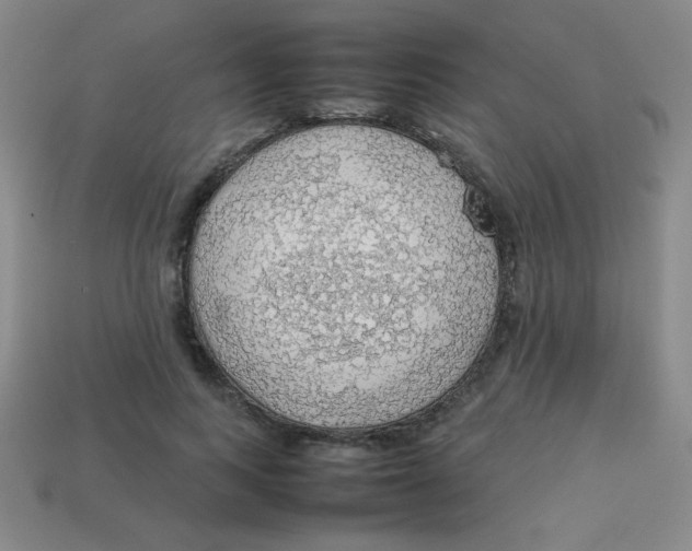X0000113780743200910211205