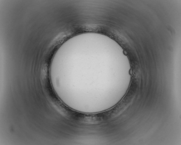 X0000113780744200910211205