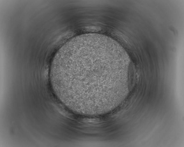 X0000113780745200910211205