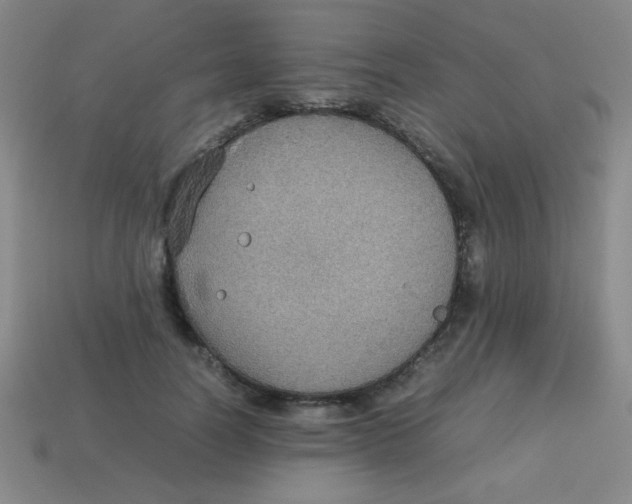 X0000113780746200910211205