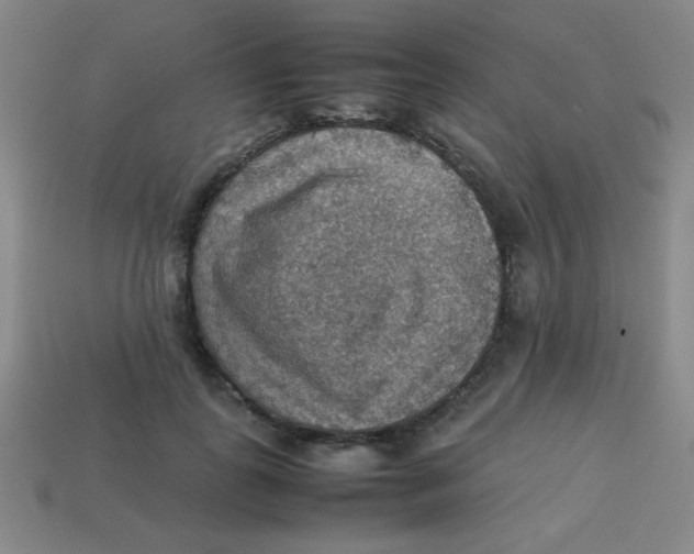 X0000113780747200910211205