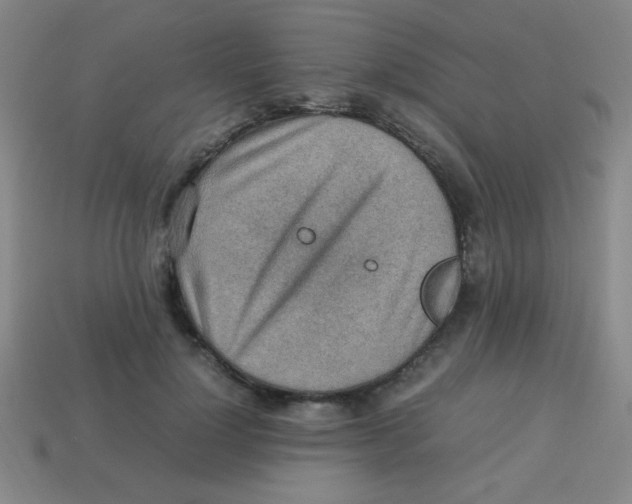 X0000113780748200910211205