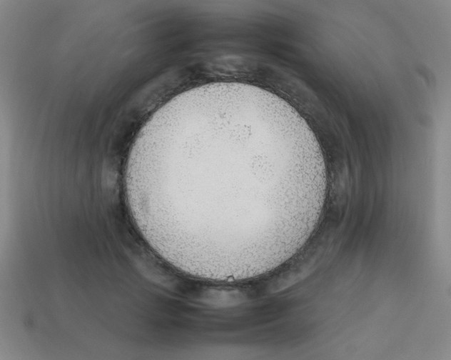 X0000113780749200910211205