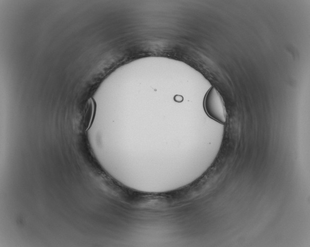 X0000113780750200910211205