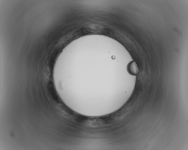 X0000113780752200910211205