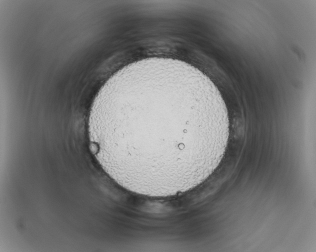 X0000113780753200910211205