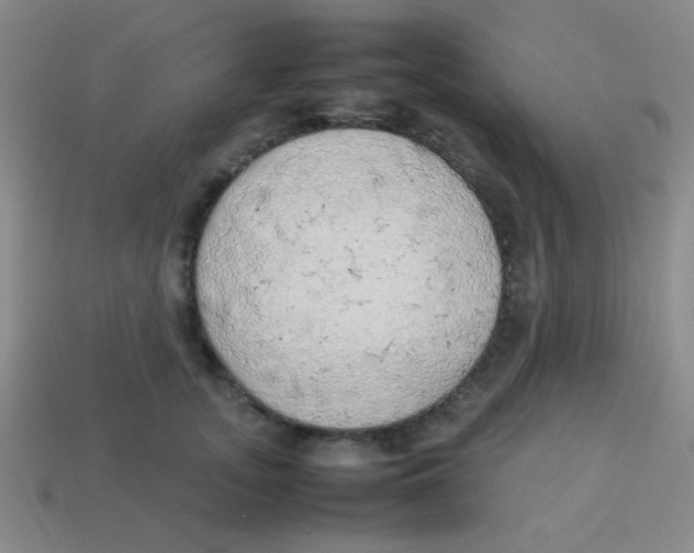 X0000113780755200910211205