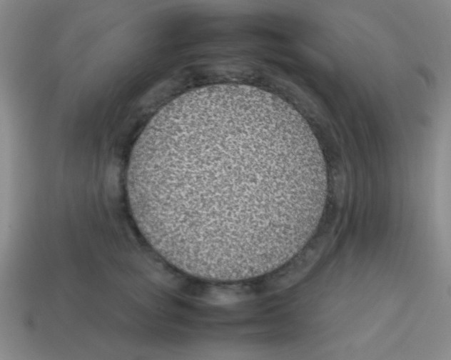 X0000113780757200910211205