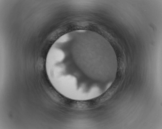 X0000113780758200910211205