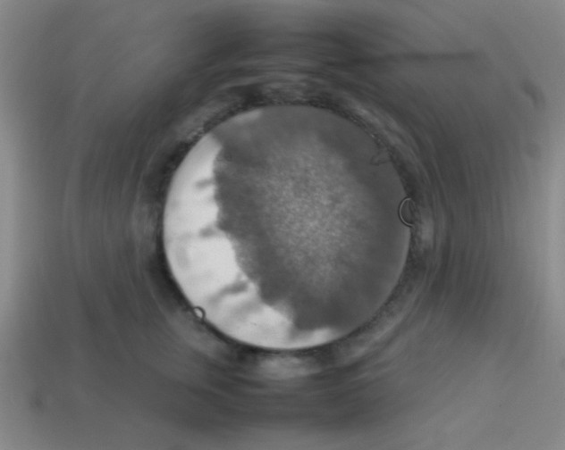 X0000113780759200910211205