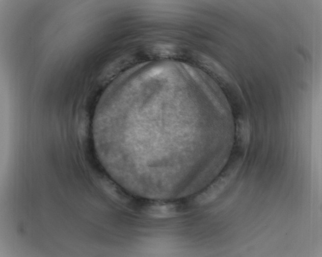 X0000113780760200910211205