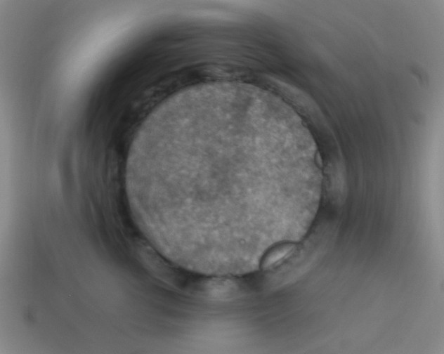 X0000113780762200910211205