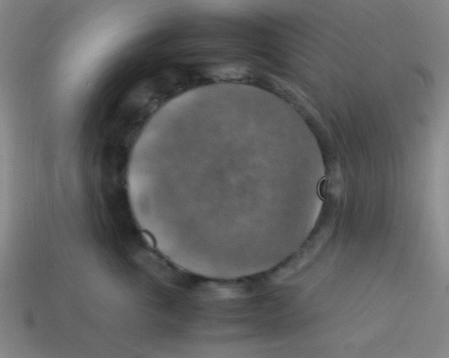 X0000113780763200910211205