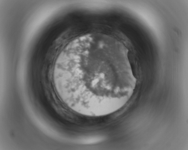 X0000113780765200910211205