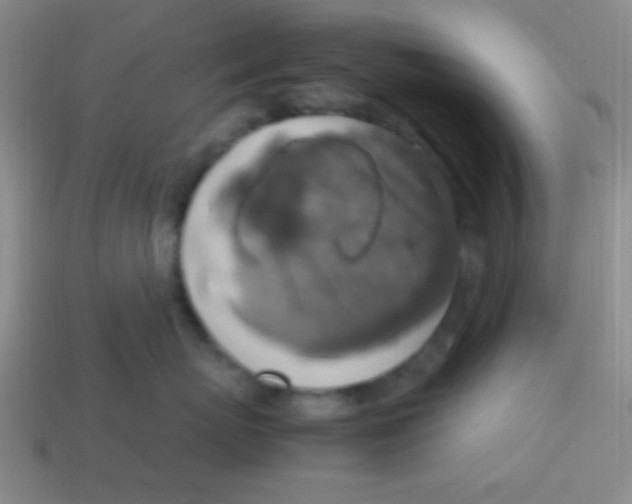 X0000113780767200910211205