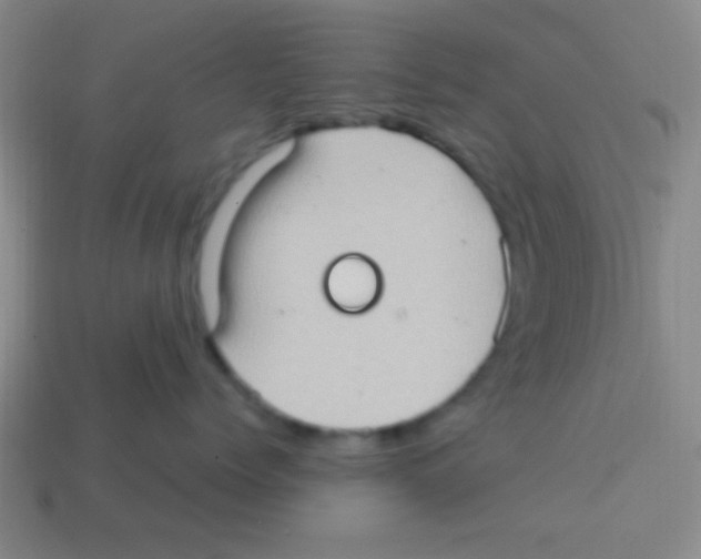 X0000113780768200910211205