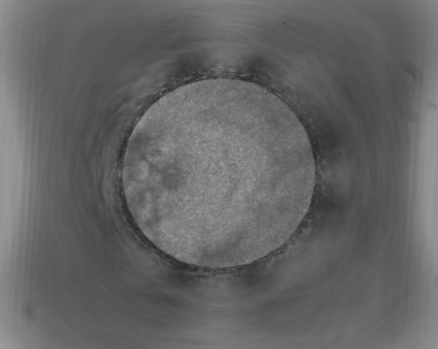 X0000113780769200910211204