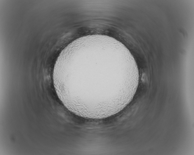 X0000113780771200910211204