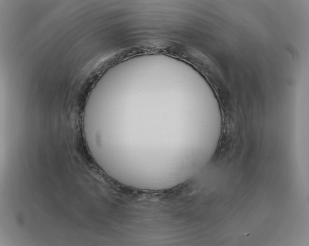 X0000113780773200910211204