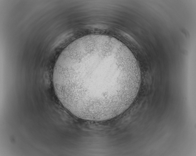 X0000113780774200910211204