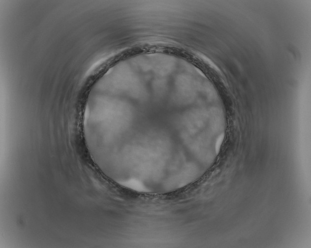 X0000113780775200910211204