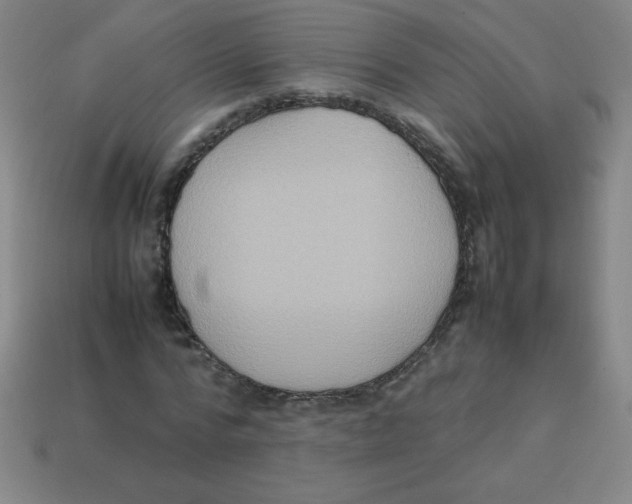X0000113780776200910211204