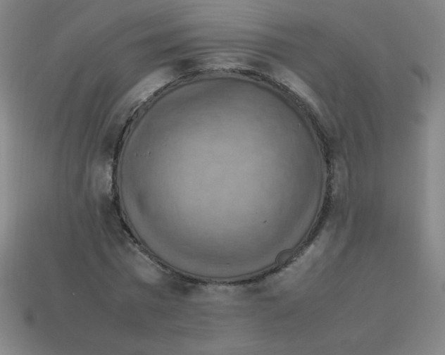 X0000113780777200910211204
