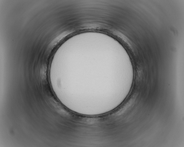 X0000113780778200910211204