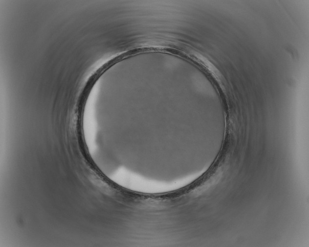 X0000113780779200910211204