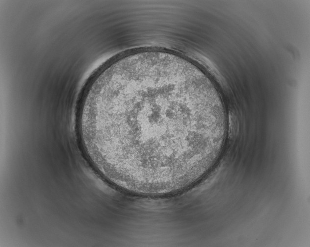 X0000113780780200910211204