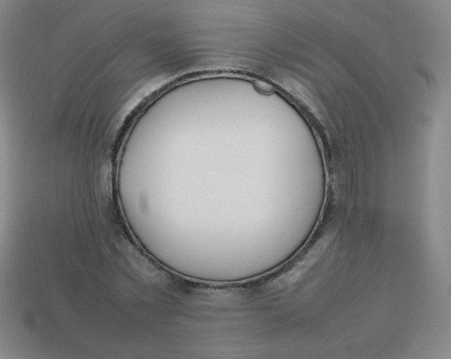 X0000113780781200910211204