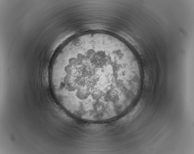 X0000113780782200910211204