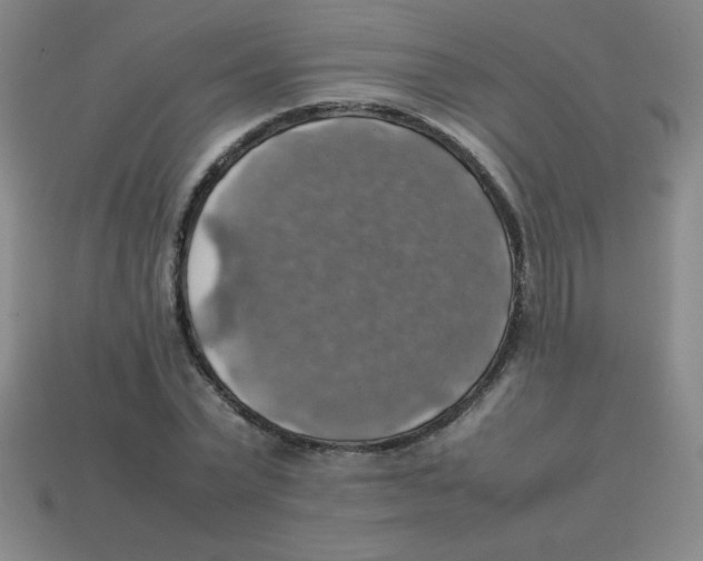 X0000113780783200910211204