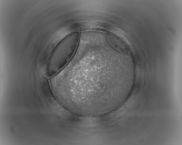 X0000113780785200910211204