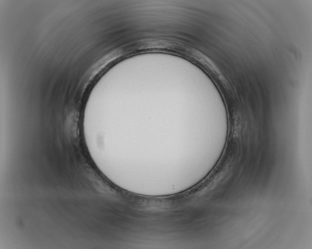X0000113780786200910211204