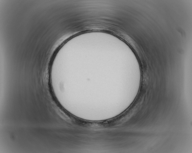 X0000113780787200910211204