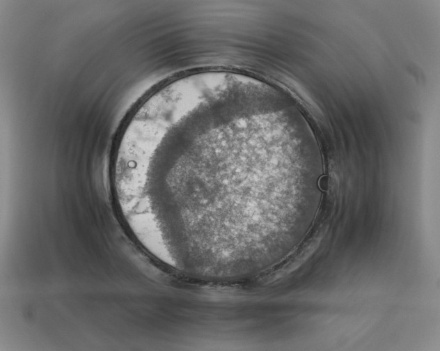 X0000113780788200910211204