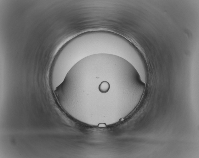 X0000113780789200910211204