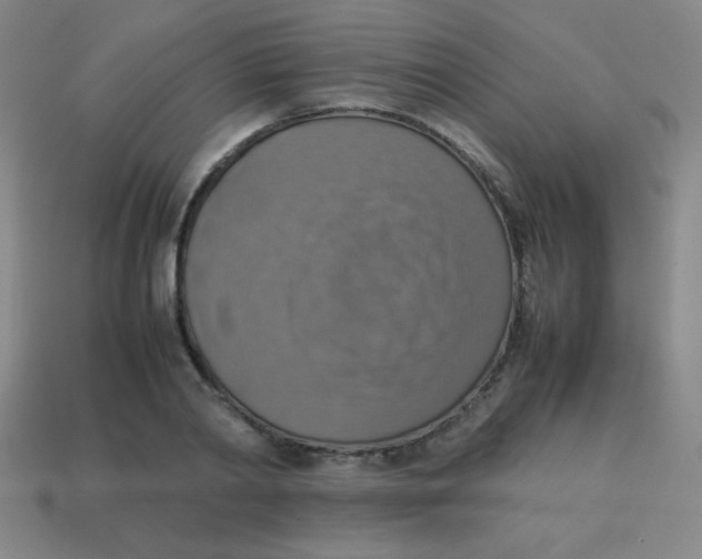 X0000113780790200910211204