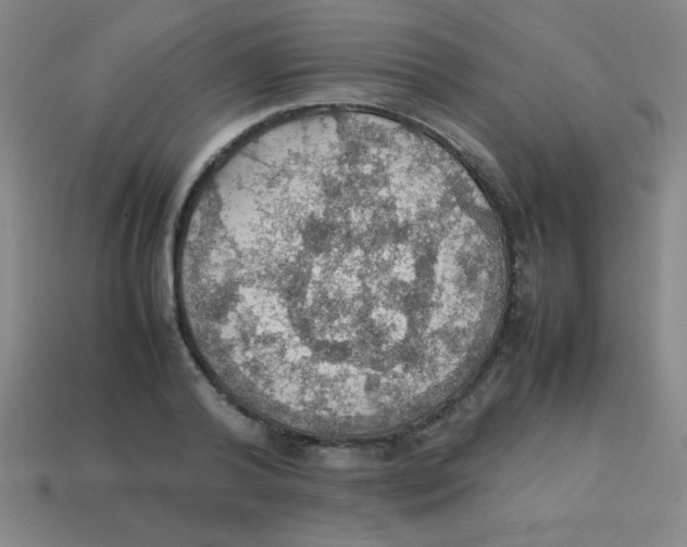 X0000113780792200910211204