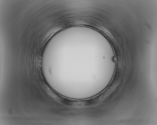 X0000113780793200910211204