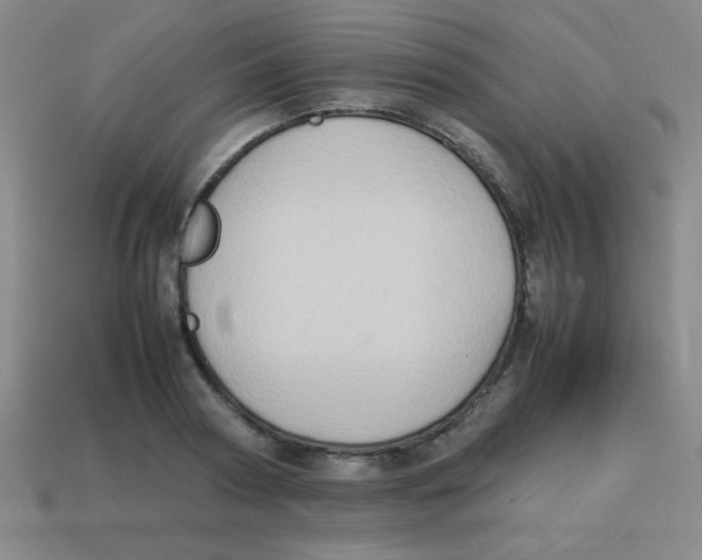 X0000113780794200910211204