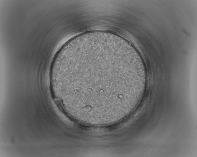 X0000113780795200910211204