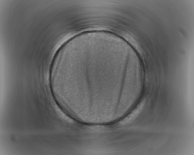 X0000113780797200910211204