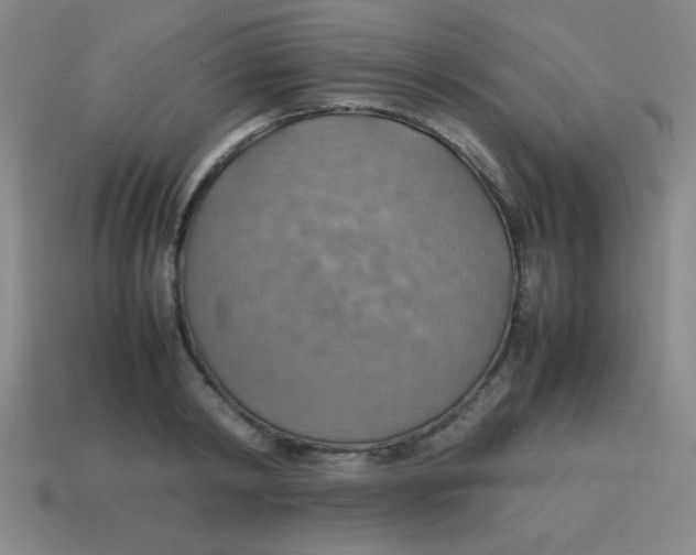 X0000113780798200910211204