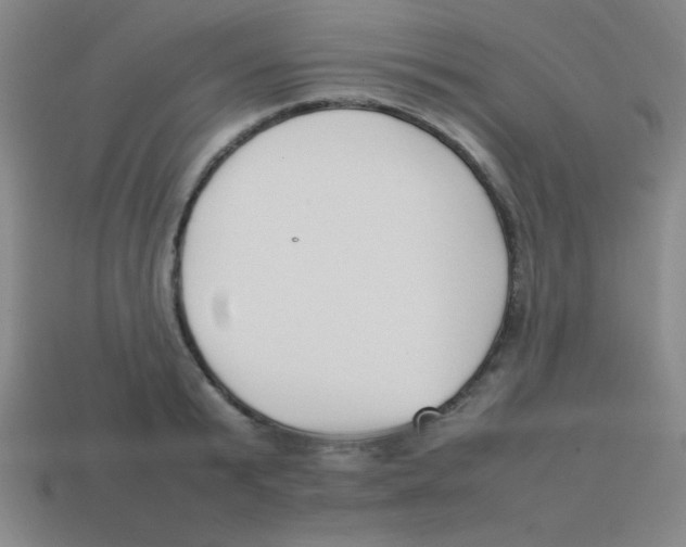 X0000113780799200910211204