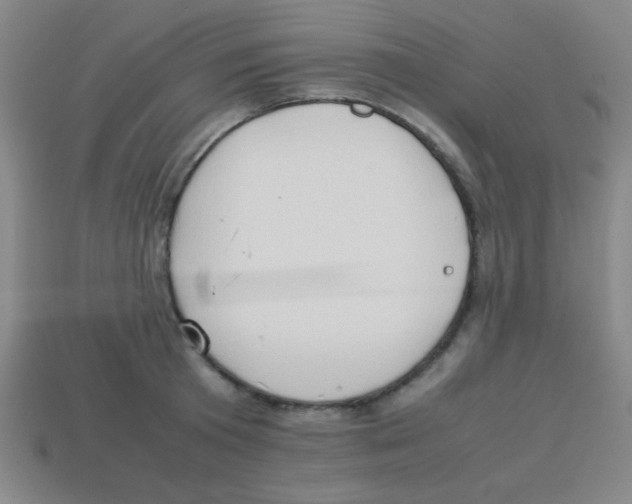 X0000113780801200910211204