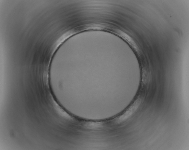 X0000113780802200910211204