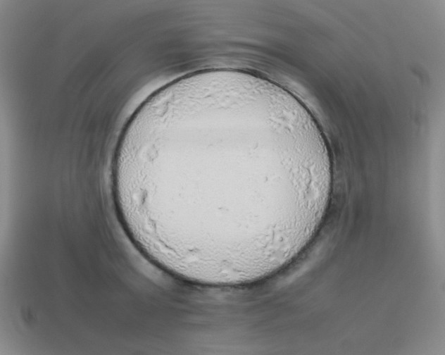 X0000113780803200910211204