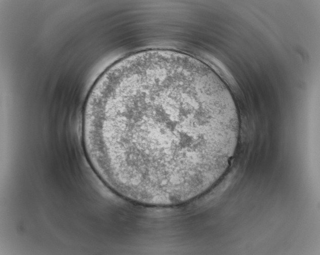 X0000113780804200910211204